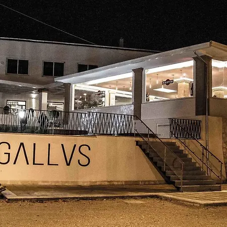 Gallus * Gallicano nel Lazio